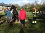 Prio 2 Dier te Water Paard Menno van Coehoornweg Burgum